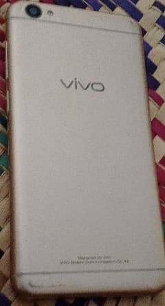 Vivo