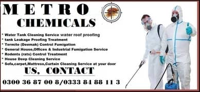 Termite Control | Deemak Control | Pest Control | Fumigation Services