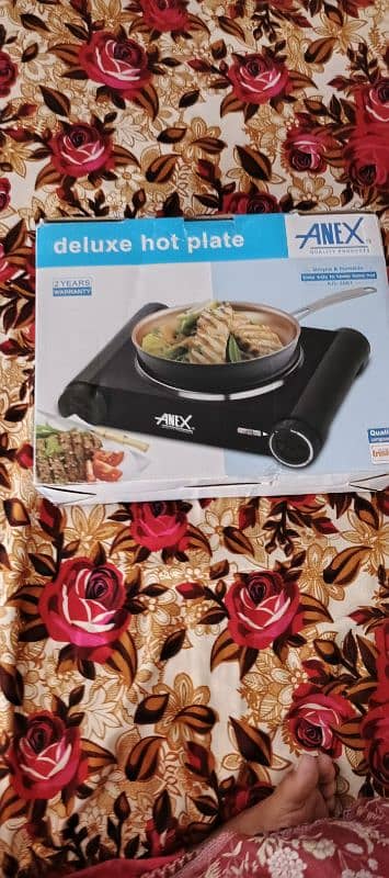 Anex Deluxe hot plate 1