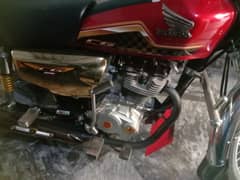 Honda 125 salf Gold 2023 24 har tara sa ok -03064880956 0