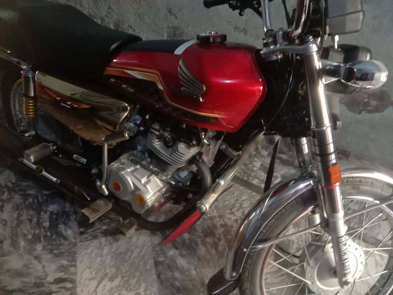 Honda 125 salf Gold 2023 24 har tara sa ok -03064880956 1