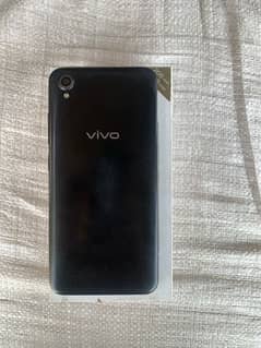 vivo