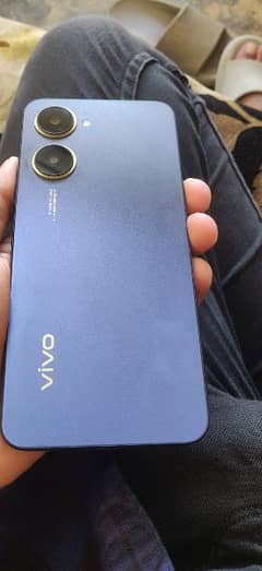 Vivo