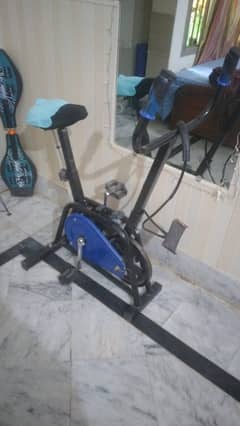 Exercise cycle 0