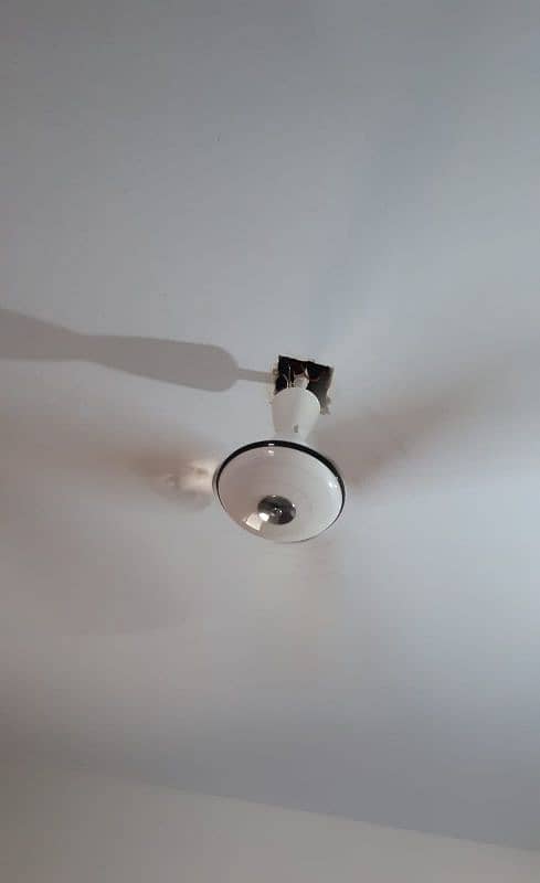 ceiling fan 4