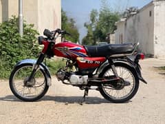 HABIB 70CC EURO