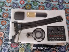 Professional condenser microphone