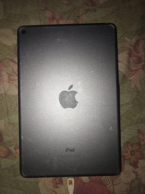 iPad mini 5 1