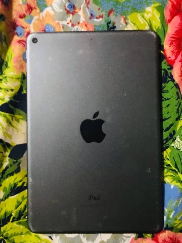 iPad mini 5 2