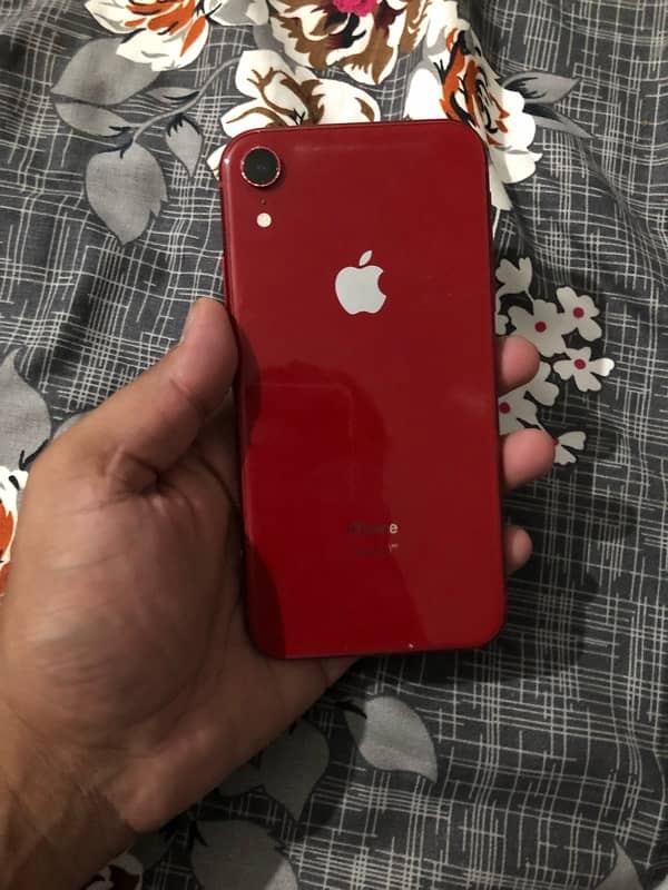 iphone xr 2