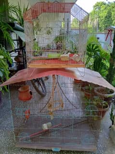 2× Bird Cages