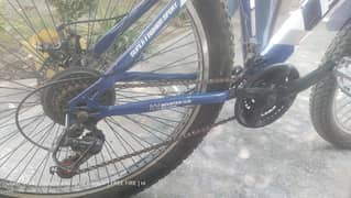 Bicycle 24 Inche PLUS imported