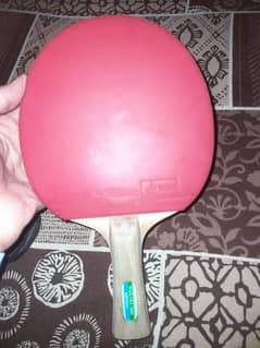 Table Tennis Racket Butterfly Wakaba 3000