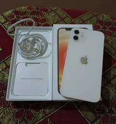 iPhone 12 dual SIM pta approved 128gb 0