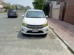 Suzuki Cultus VXL 2019 0