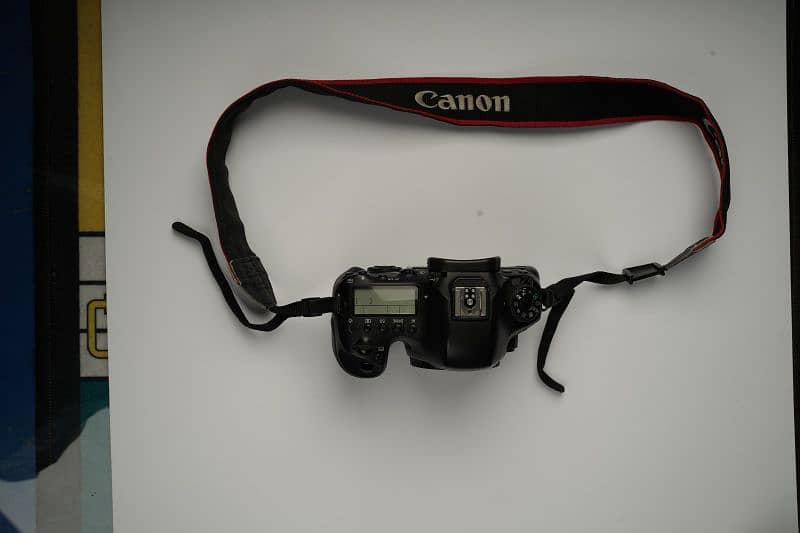 Canon 6D Mark ll 2