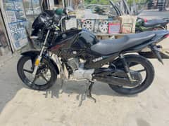 Yamaha YBR 125 2021