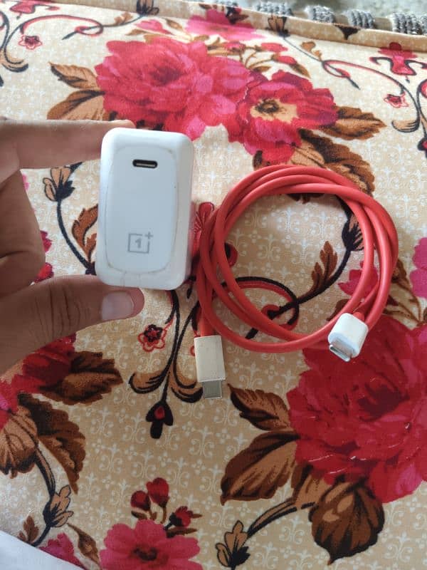 OnePlus Mobile Original Charger 1