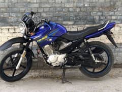 Yamaha ybr 125 g 0