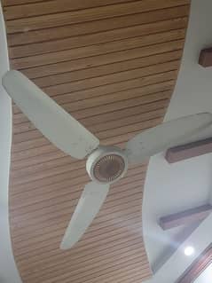 8 fans for sale. Rate perfan