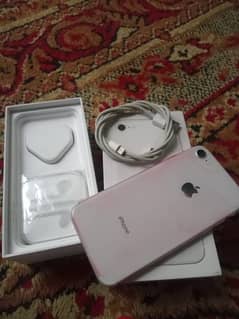 iphone 8 64gb pta approved true tone actine 10/10 0