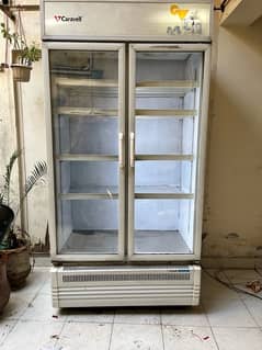 Visi Chiller double door Caravell 0