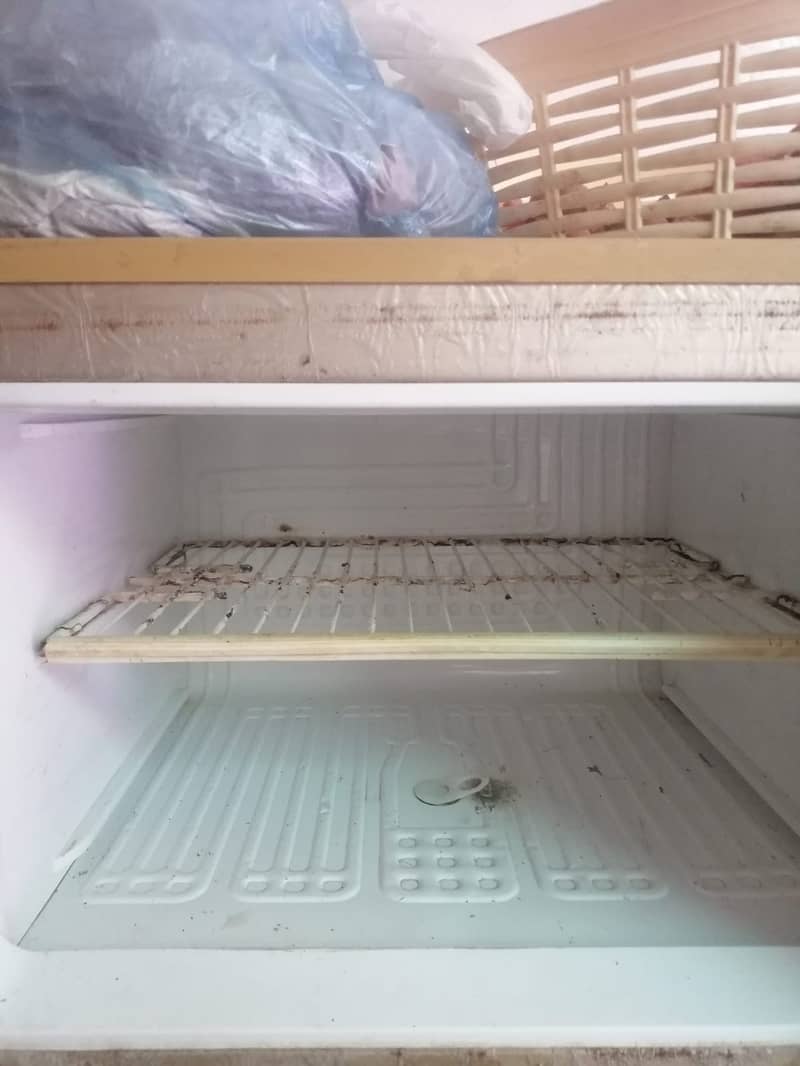 Pell (used) Refrigerator 2