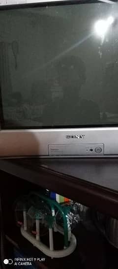 Sony wega TV used urgent sale