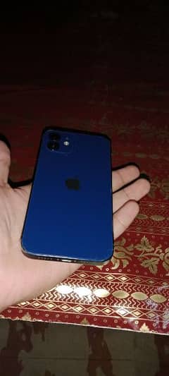 I phone 12