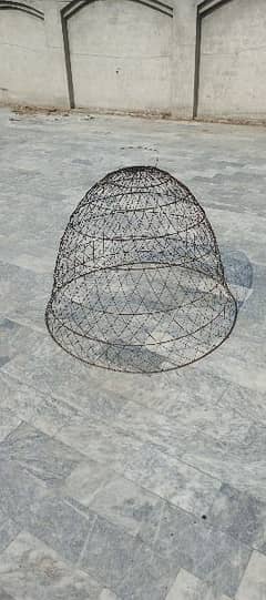 Extra Larg Cage for Aseel Miawali Male hen