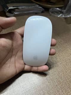 Apple Magic 1