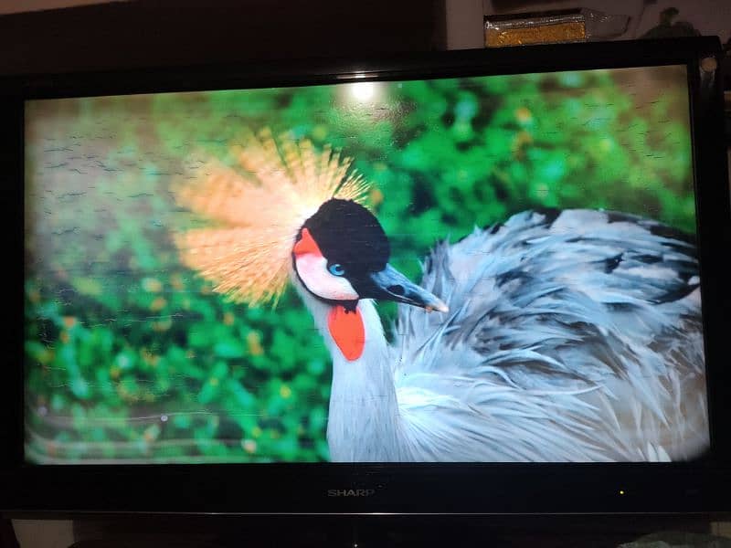 42 inch sharp Aquos simple LCD 60h 4