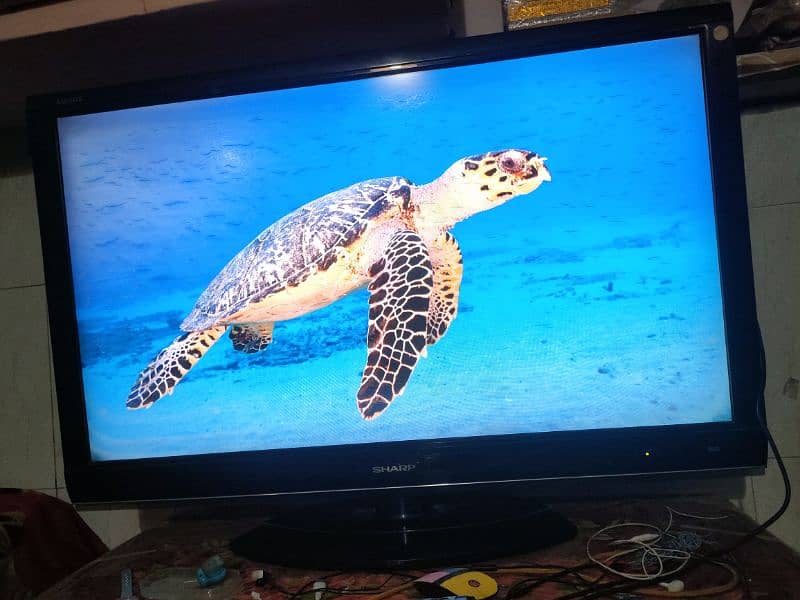 42 inch sharp Aquos simple LCD 60h 7