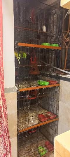 Cage and Bird for sale