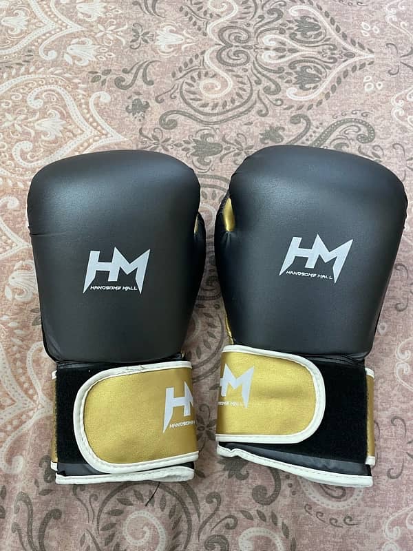 Gym boxing gloves and bag 1