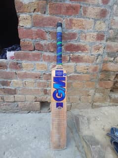 English willow bat 17 grian player audition