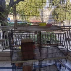 3 cages and love bird and cocktail boxes