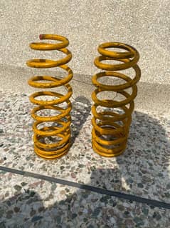 rear springs