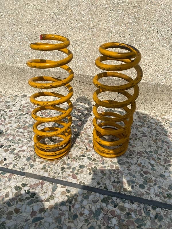 rear springs 0