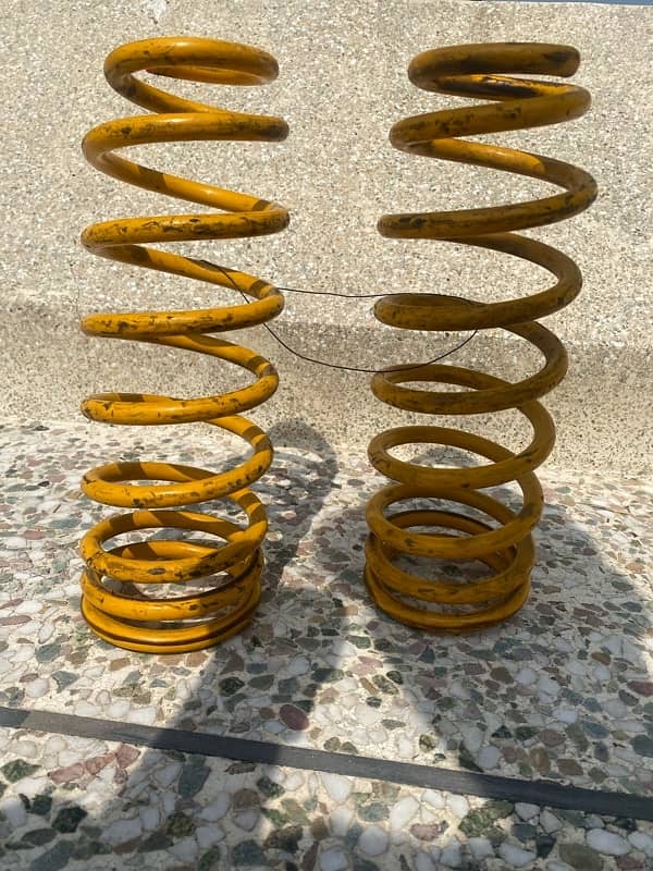 rear springs 1