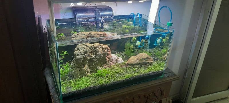 2 feet planted aquarium with all accessories 1