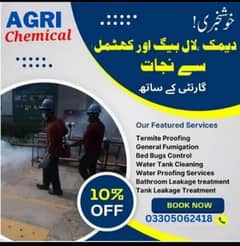 Pest control services & Termite Treatment Fumigation all types insects 0