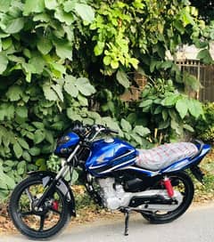 Honda. CBF 125 Lush condition for sale 0