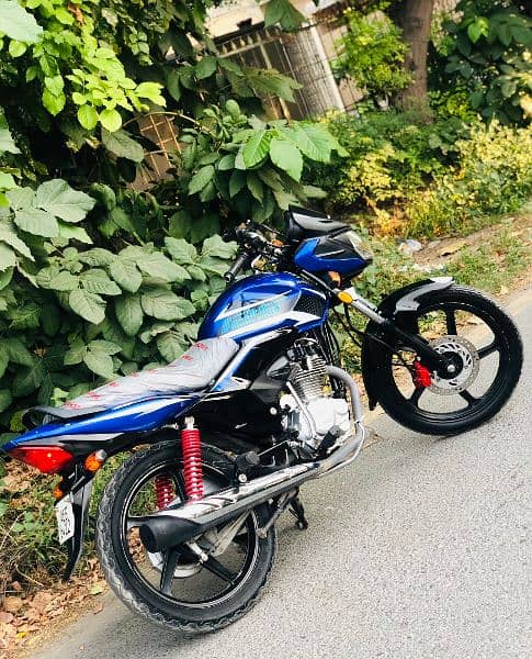 Honda. CBF 125 Lush condition for sale 8