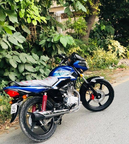 Honda. CBF 125 Lush condition for sale 11