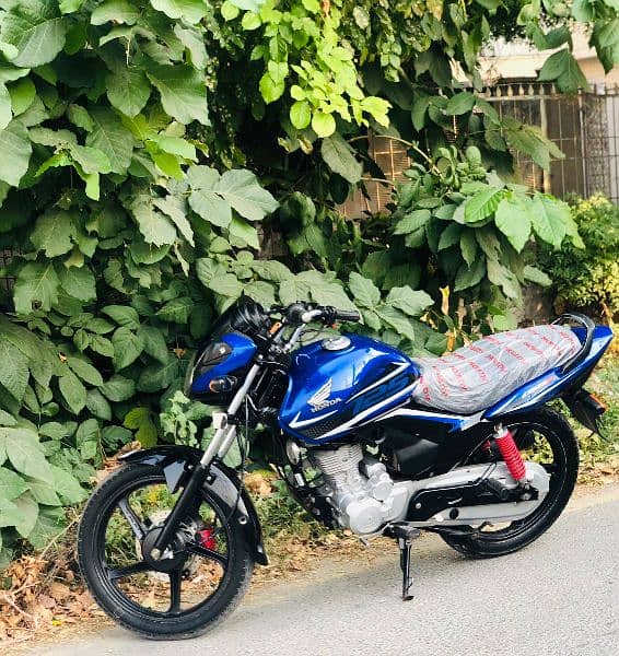 Honda. CBF 125 Lush condition for sale 12