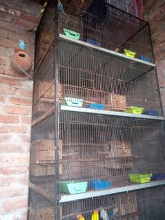 bird cage for sale