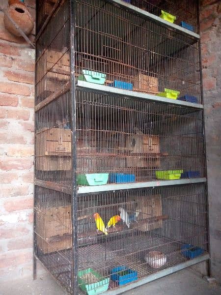 bird cage for sale 1