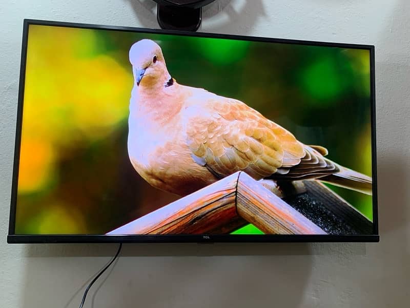 TCL LED TV 43Inch 1