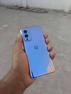 OnePlus 9 12/256 10/10